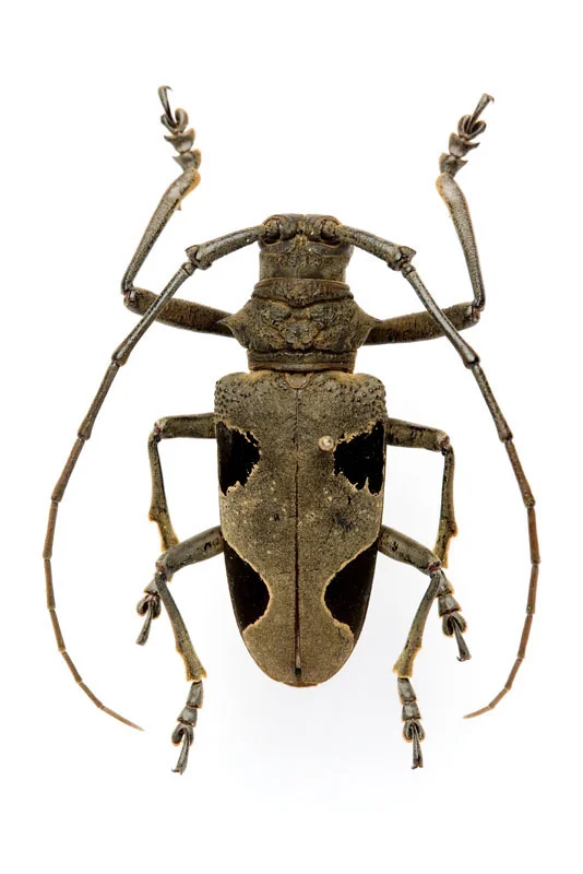 1123.jpg