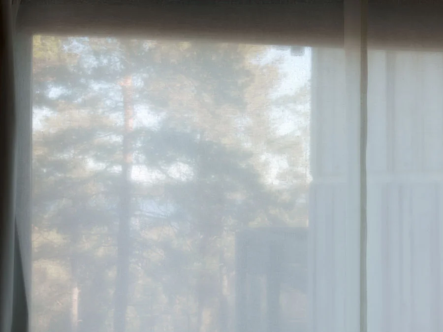 Fönstret+som+Vetter+åt+Skogen.jpg